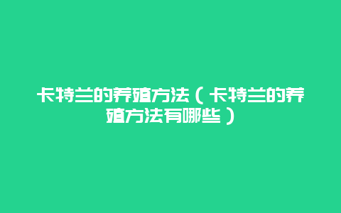 卡特兰的养殖方法（卡特兰的养殖方法有哪些）