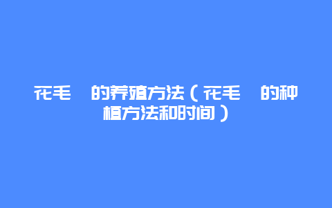 花毛茛的养殖方法（花毛茛的种植方法和时间）