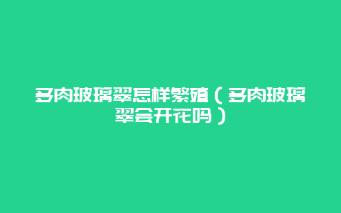 多肉玻璃翠怎样繁殖（多肉玻璃翠会开花吗）