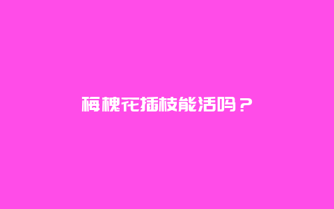 梅槐花插枝能活吗？