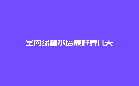 室内绿植水培最好养几天