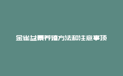 金雀盆景养殖方法和注意事项