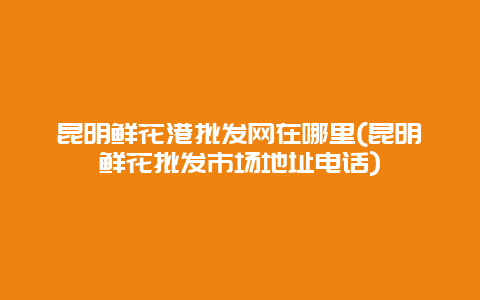 昆明鲜花港批发网在哪里(昆明鲜花批发市场地址电话)