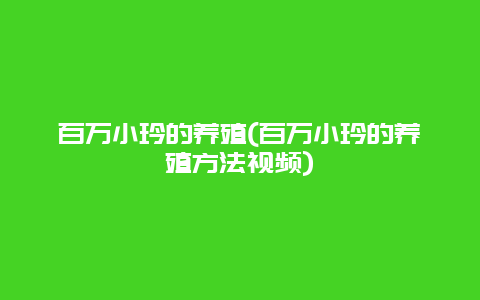 百万小玲的养殖(百万小玲的养殖方法视频)