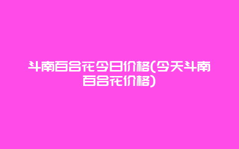 斗南百合花今日价格(今天斗南百合花价格)