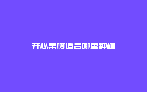 开心果树适合哪里种植