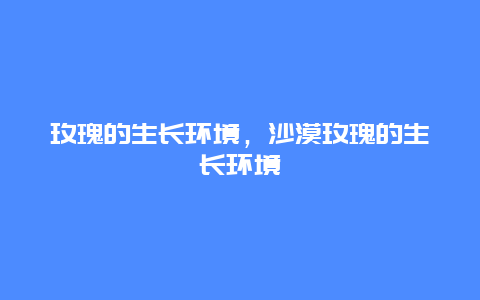 玫瑰的生长环境，沙漠玫瑰的生长环境