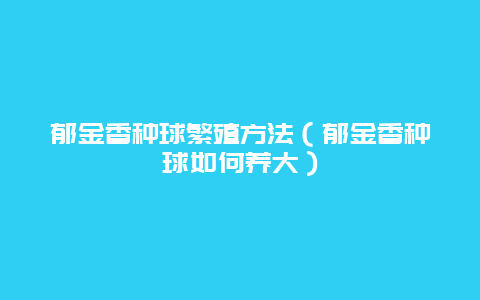 郁金香种球繁殖方法（郁金香种球如何养大）