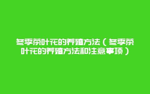 冬季茶叶花的养殖方法（冬季茶叶花的养殖方法和注意事项）