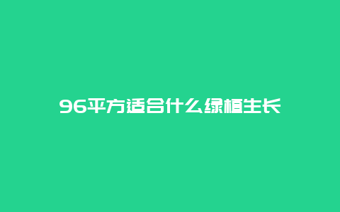 96平方适合什么绿植生长