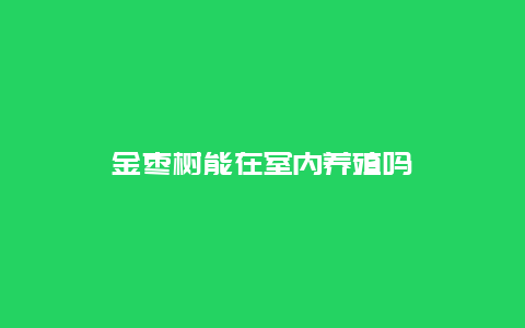 金枣树能在室内养殖吗