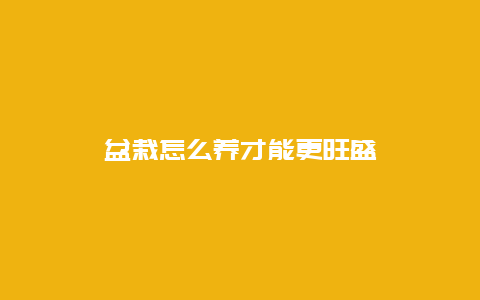 盆栽怎么养才能更旺盛