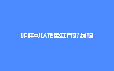 咋样可以把鱼缸养好绿植