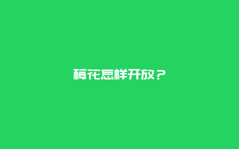 梅花怎样开放？