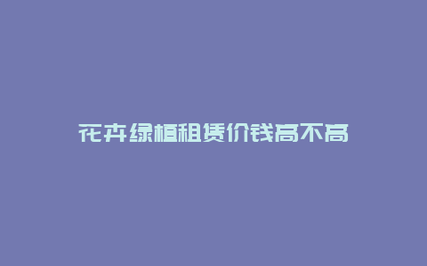 花卉绿植租赁价钱高不高