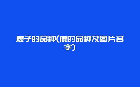 鹿子的品种(鹿的品种及图片名字)