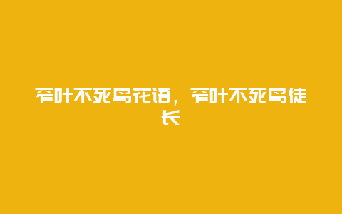 窄叶不死鸟花语，窄叶不死鸟徒长