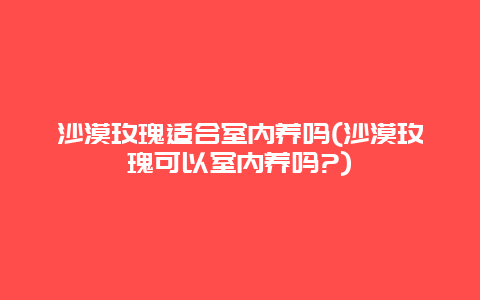 沙漠玫瑰适合室内养吗(沙漠玫瑰可以室内养吗?)