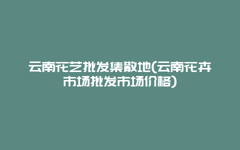 云南花艺批发集散地(云南花卉市场批发市场价格)