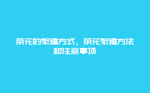 茶花的繁殖方式，茶花繁殖方法和注意事项