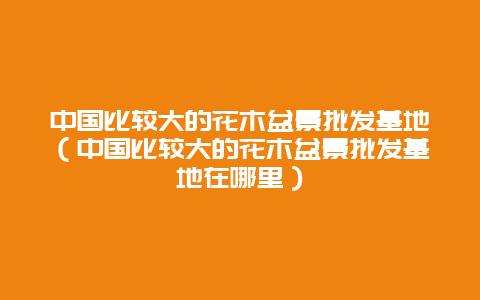 中国比较大的花木盆景批发基地（中国比较大的花木盆景批发基地在哪里）