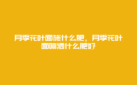 月季花叶面施什么肥，月季花叶面喷洒什么肥好