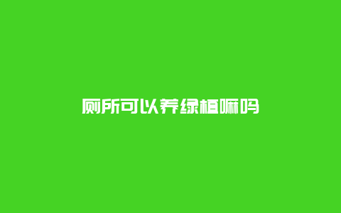 厕所可以养绿植嘛吗