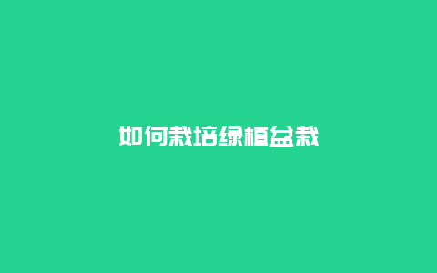 如何栽培绿植盆栽