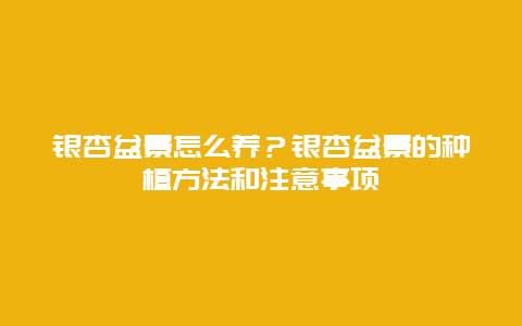 银杏盆景怎么养？银杏盆景的种植方法和注意事项