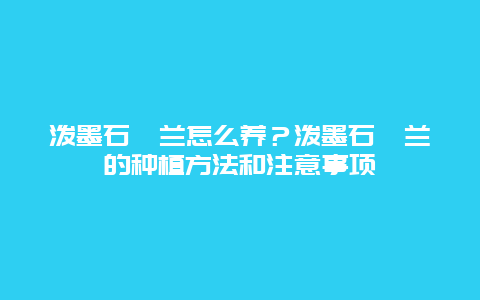 泼墨石斛兰怎么养？泼墨石斛兰的种植方法和注意事项