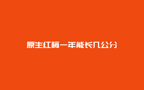 原生红梅一年能长几公分