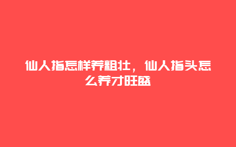 仙人指怎样养粗壮，仙人指头怎么养才旺盛