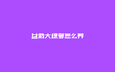 盆栽大绿萝怎么养