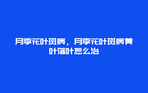 月季花叶斑病，月季花叶斑病黄叶落叶怎么治