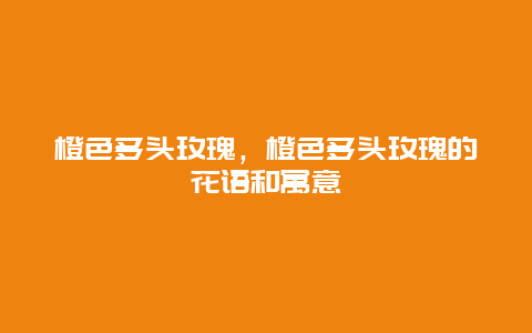 橙色多头玫瑰，橙色多头玫瑰的花语和寓意