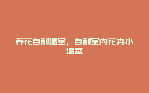 养花自制温室，自制室内花卉小温室