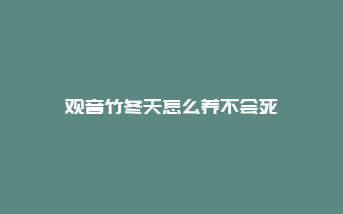 观音竹冬天怎么养不会死