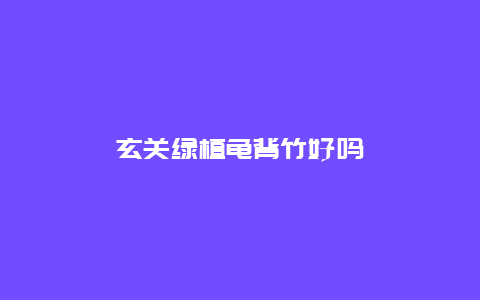 玄关绿植龟背竹好吗