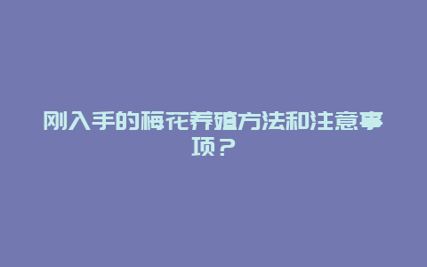 刚入手的梅花养殖方法和注意事项？