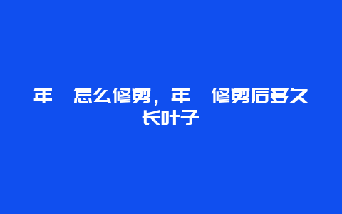 年桔怎么修剪，年桔修剪后多久长叶子