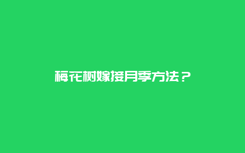 梅花树嫁接月季方法？