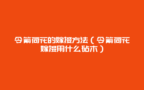 令箭荷花的嫁接方法（令箭荷花嫁接用什么砧木）