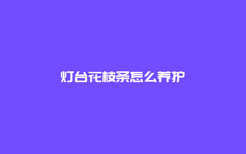 灯台花枝条怎么养护