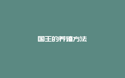 国王的养殖方法