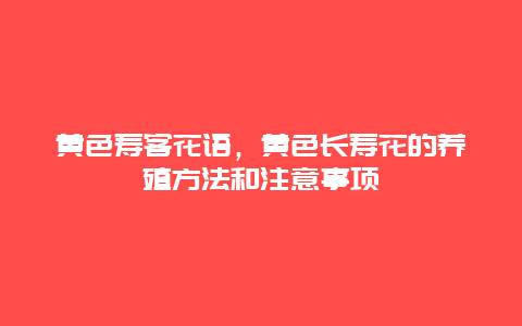 黄色寿客花语，黄色长寿花的养殖方法和注意事项