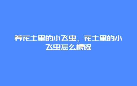 养花土里的小飞虫，花土里的小飞虫怎么根除