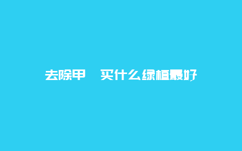 去除甲醛买什么绿植最好