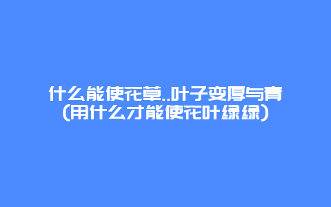 什么能使花草..叶子变厚与青(用什么才能使花叶绿绿)