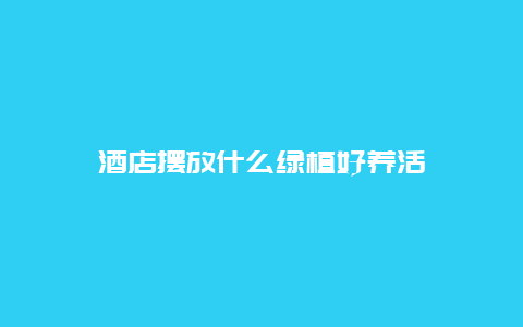 酒店摆放什么绿植好养活