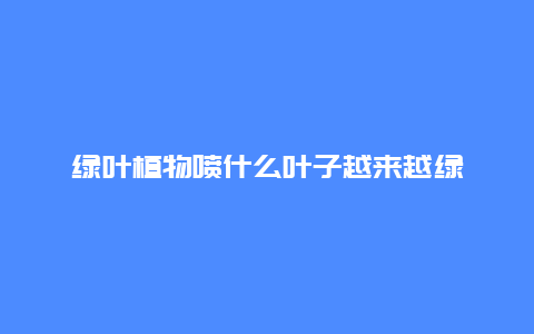 绿叶植物喷什么叶子越来越绿